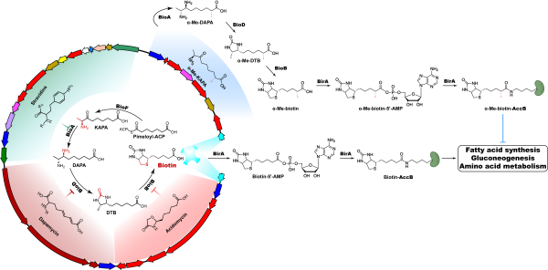 U020260626627564997458.png